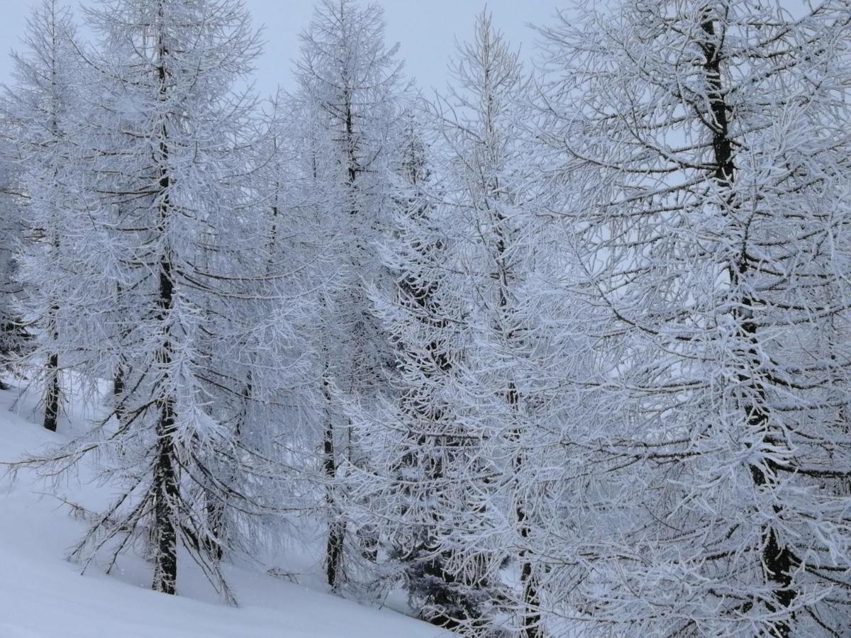 Hotel Dolomiti 3*